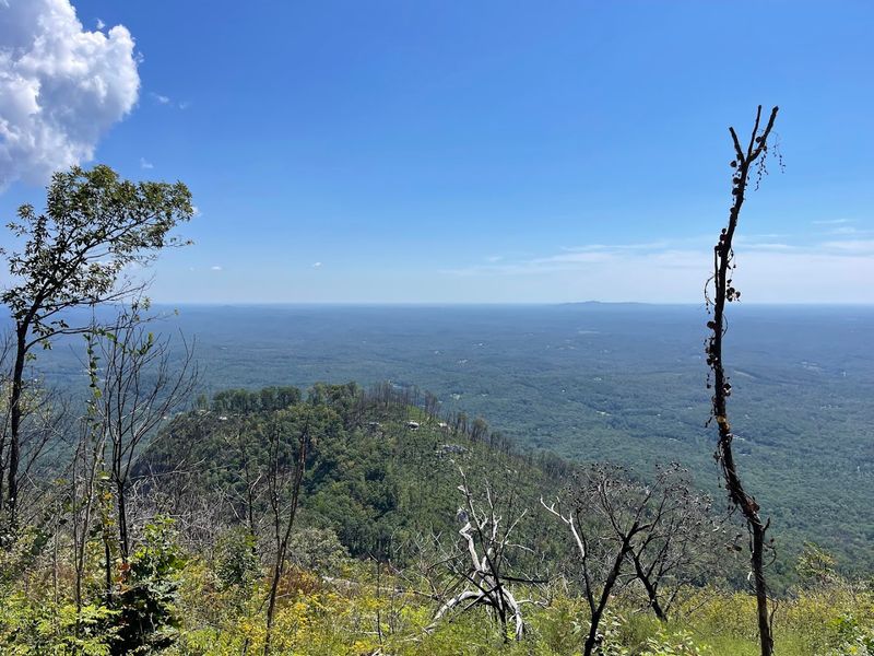 The Summit Trail: A Hike Worth Every Stone Step