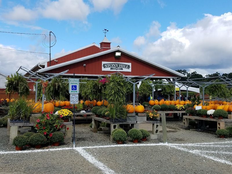 A Farm with Deep Roots in Chester