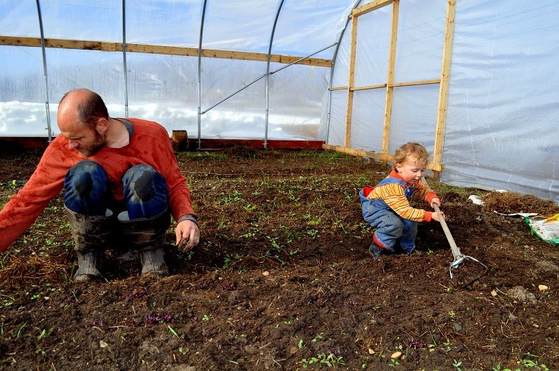 The Story Behind the Farm: How It All Started