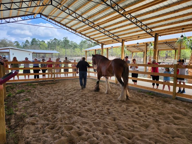 The Cobb Family and the Heart Behind the Operation