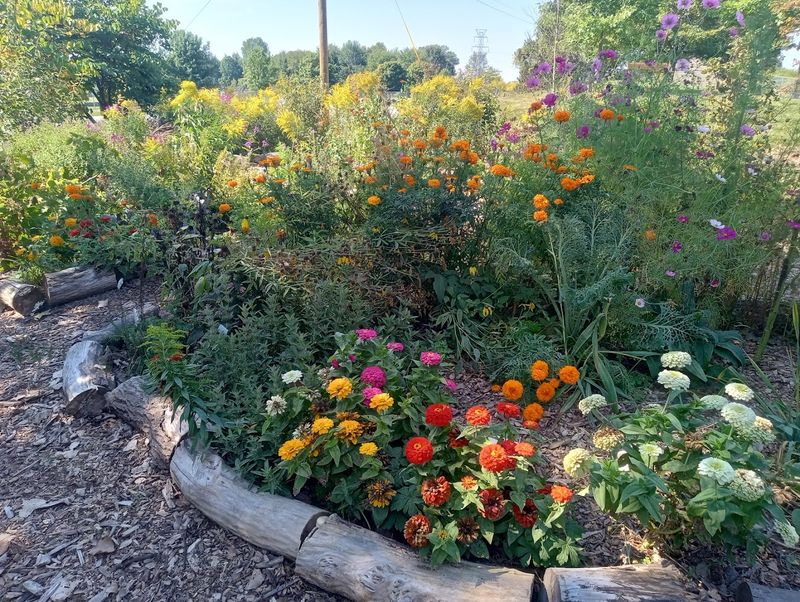 The All-Volunteer Force Behind the Flowers
