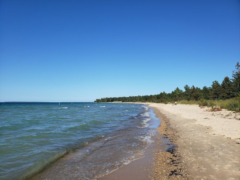 The Shoreline That Stretches on and on