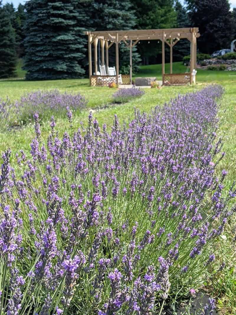 The Woman Behind the Farm: Meet Wendi