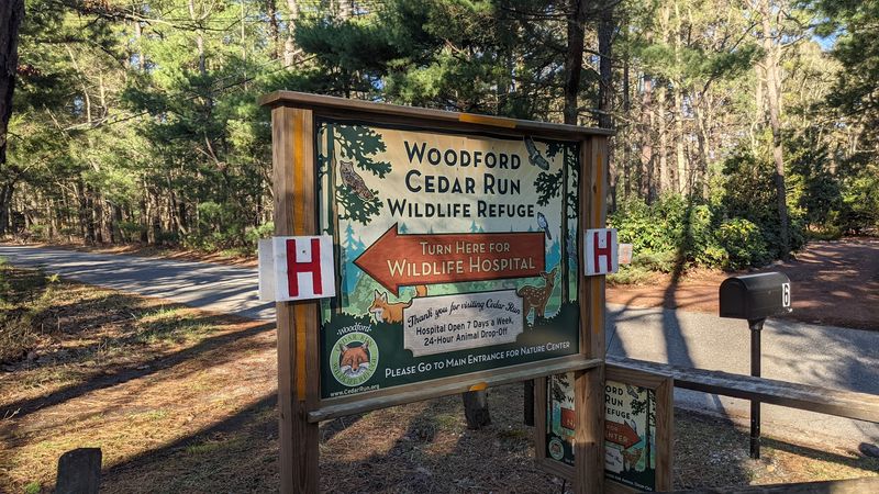 The Founders Behind the Story: Jim and Betty Woodford