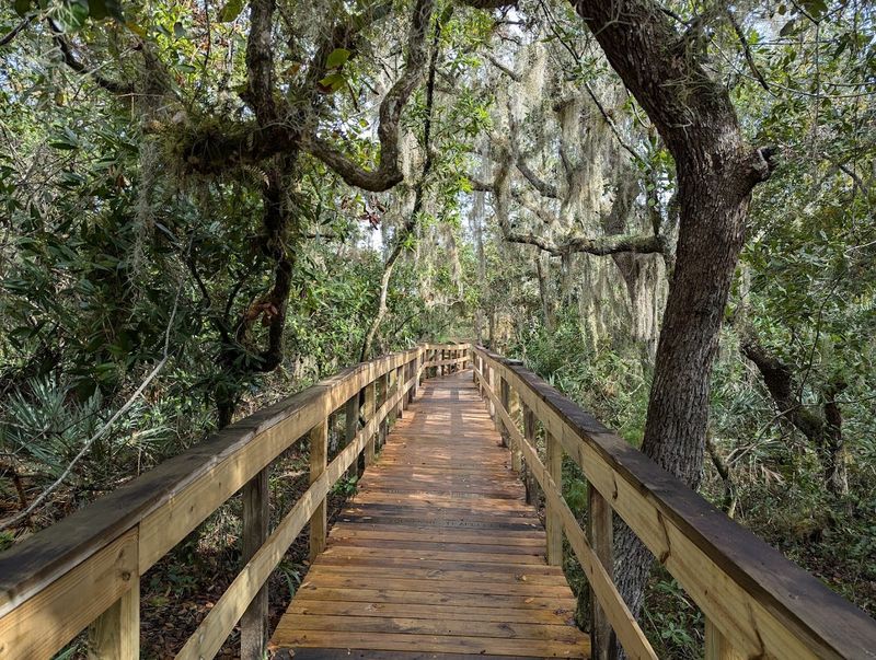 130 Acres of Wild Florida Packed Into One Preserve