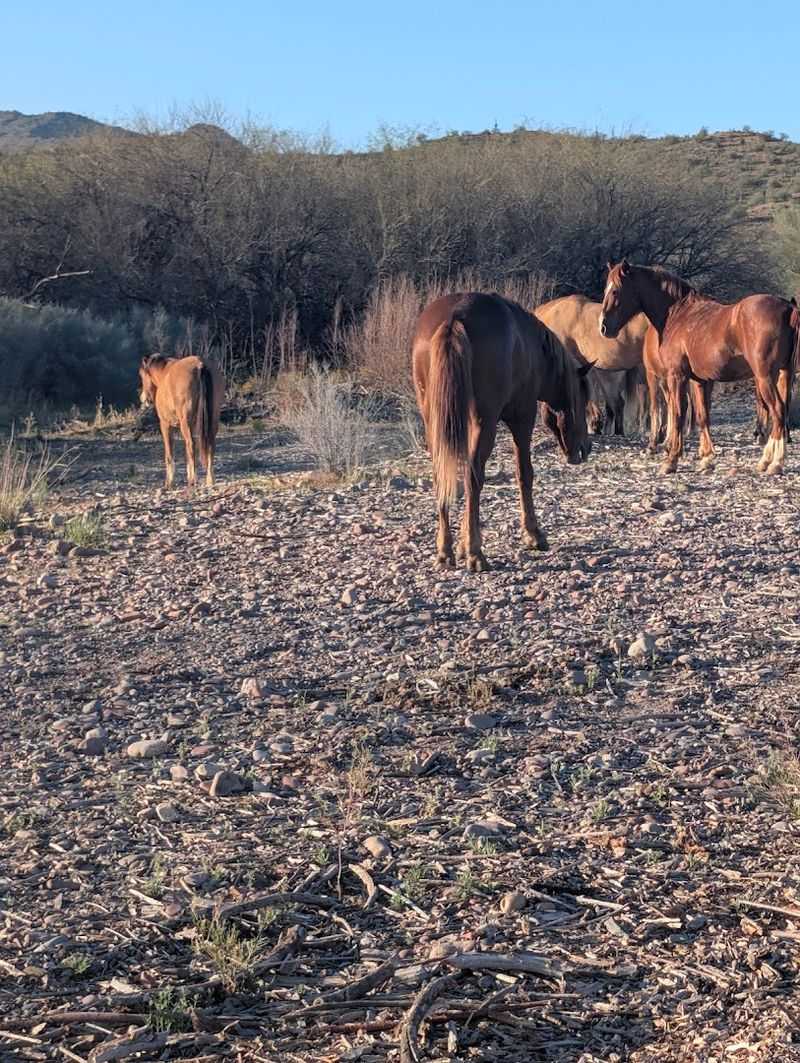 The Story Behind the Organization