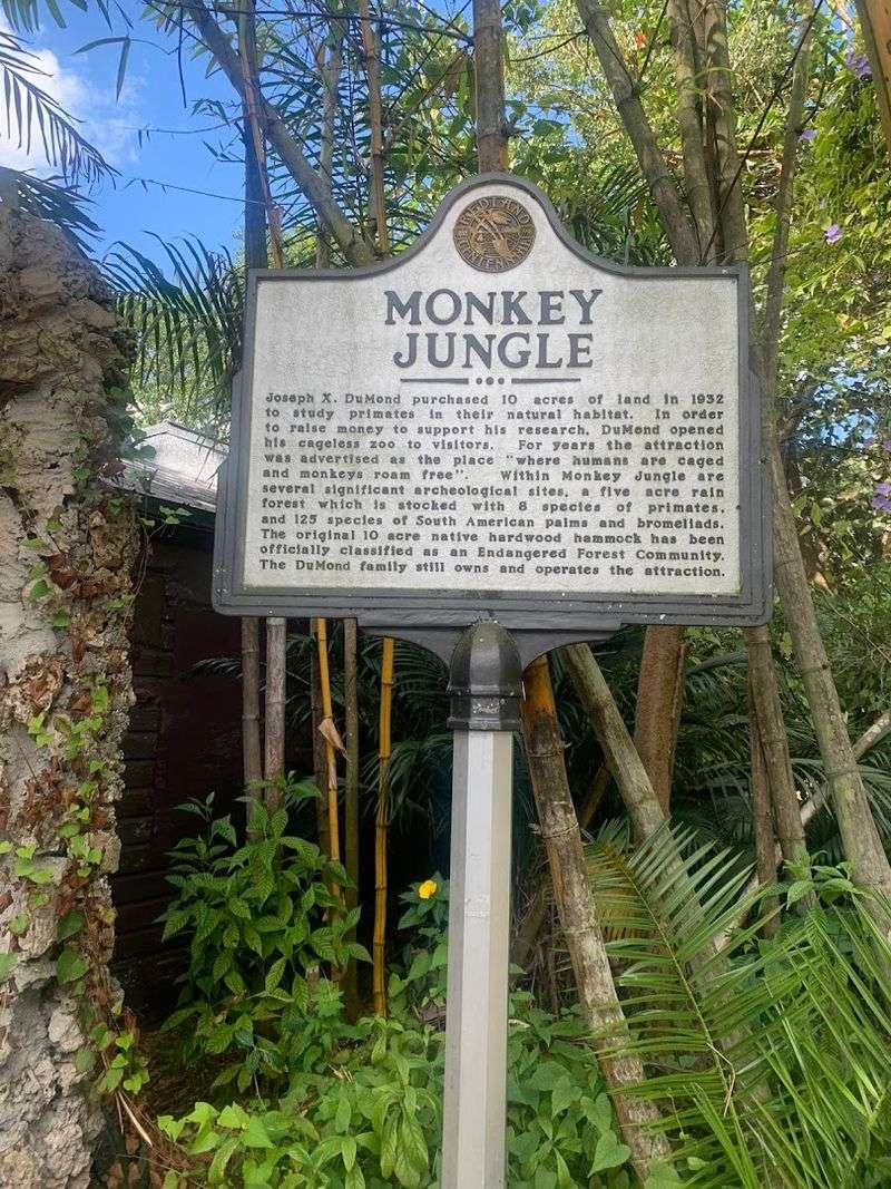 A History That Goes Back Nearly a Century