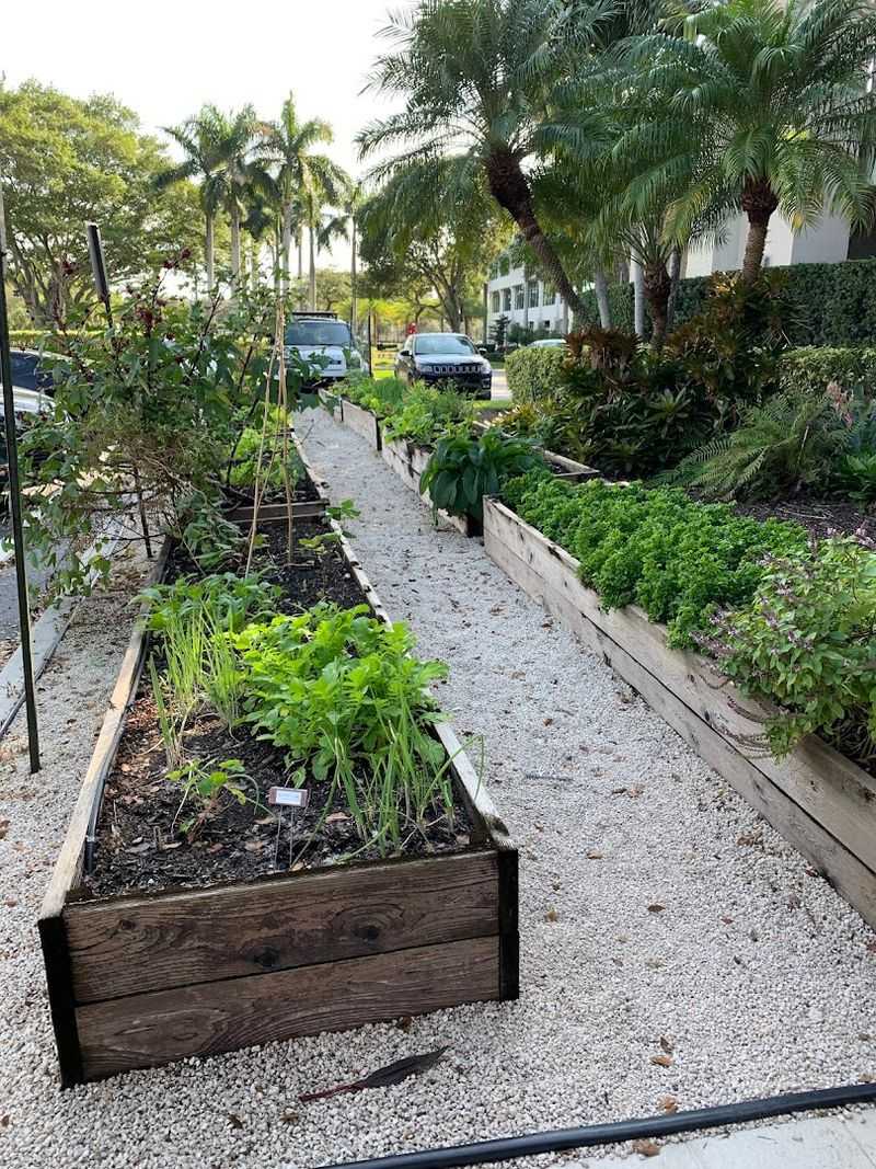 The Farm-to-Table Philosophy Behind the Menu