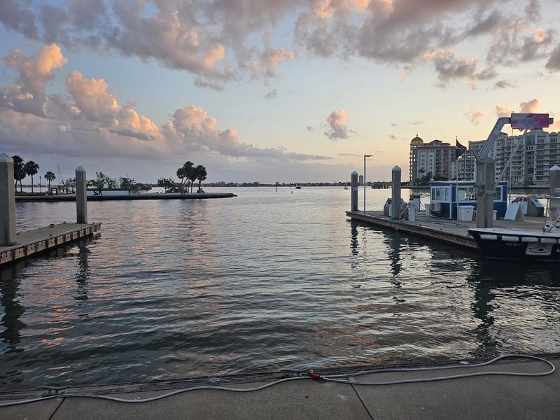 The Story Behind This Sarasota Landmark