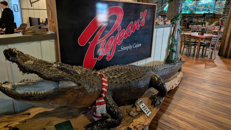 The Famous Alligator at the Front Door