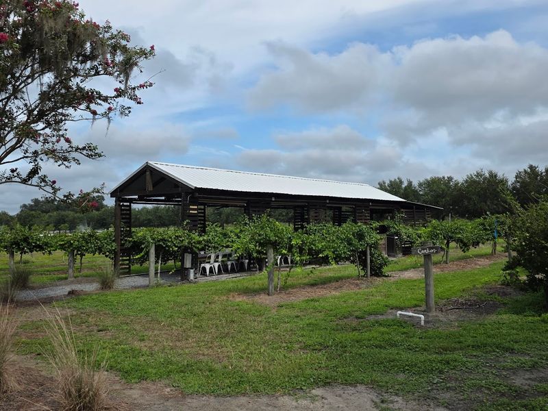 The Story Behind the Farm and Its Roots