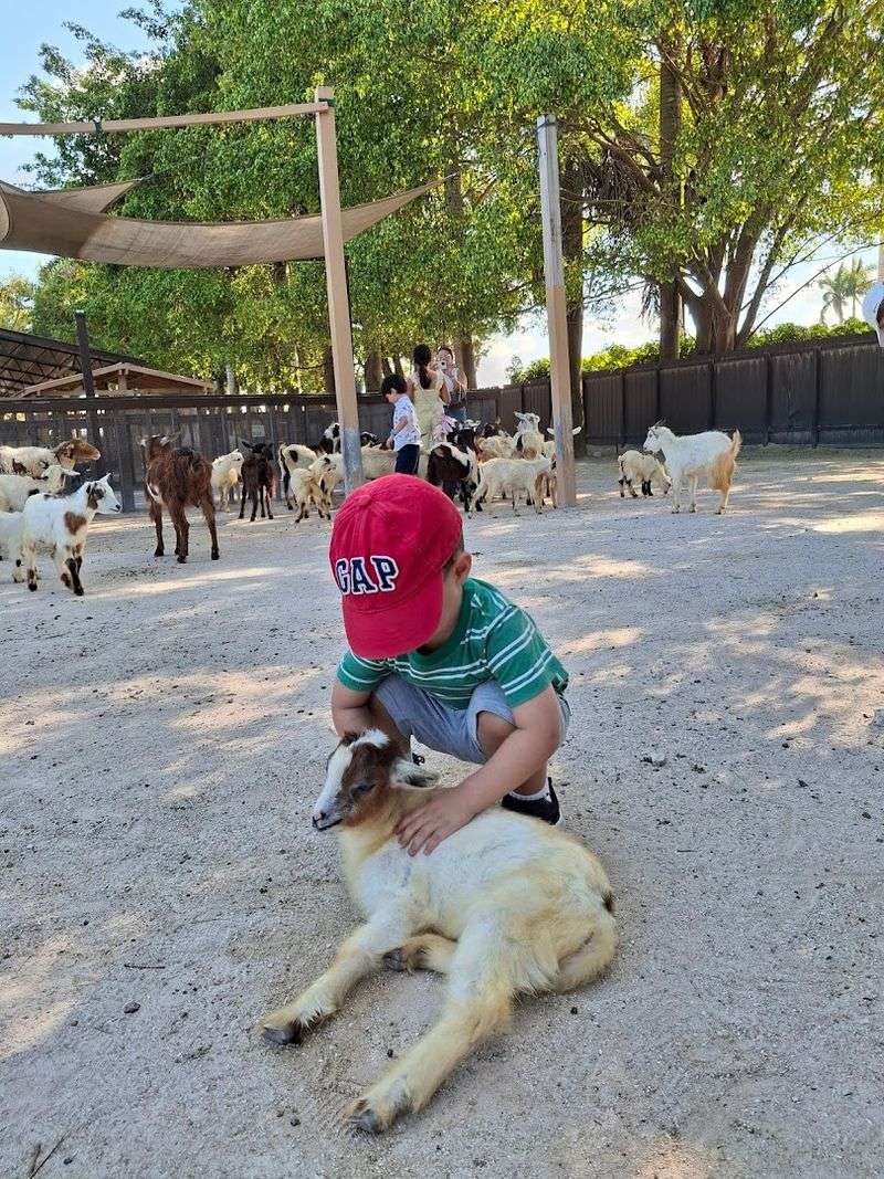 The Petting Zoo That Actually Gets You Up Close