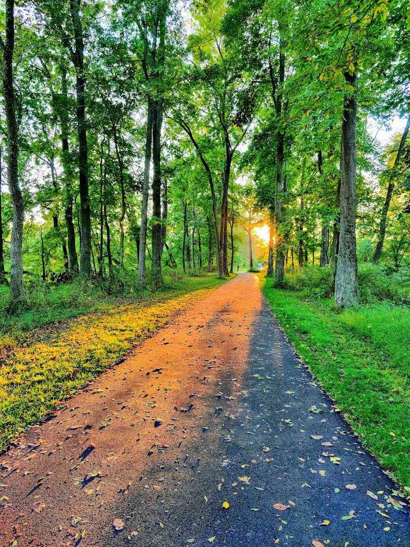 343 Acres of Room to Breathe