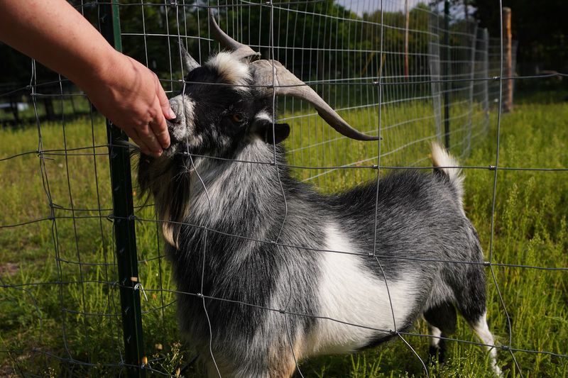 The Family Behind the Farm and Why It Matters