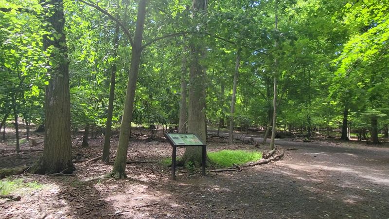 The Story of Land That Almost Disappeared