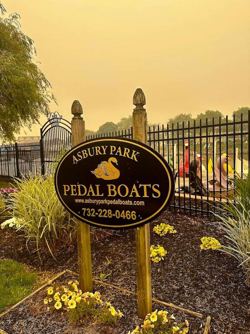 The Hours You Need to Know