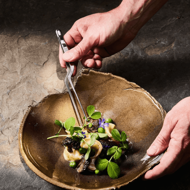 A Story Built on Sonoma Roots