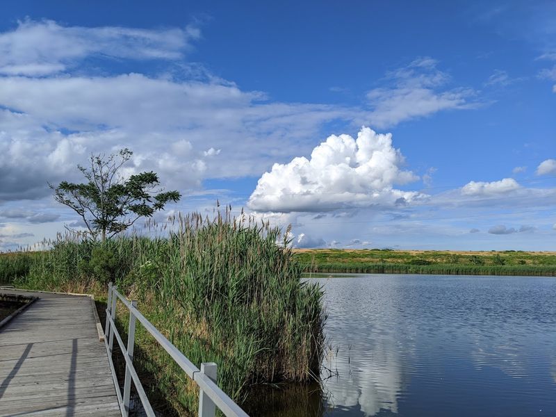 A Landfill That Became a Living Landscape