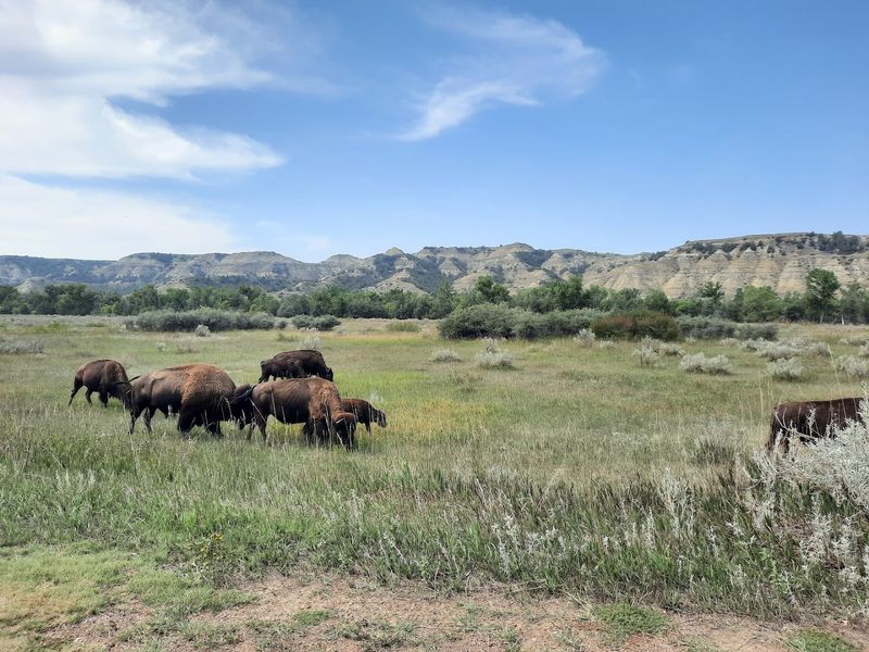 Theodore Roosevelt National Park, North Dakota