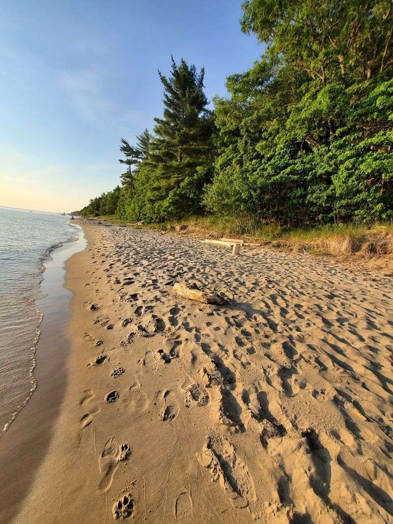Why the Beach Feels Different From the Bigger Spots Nearby