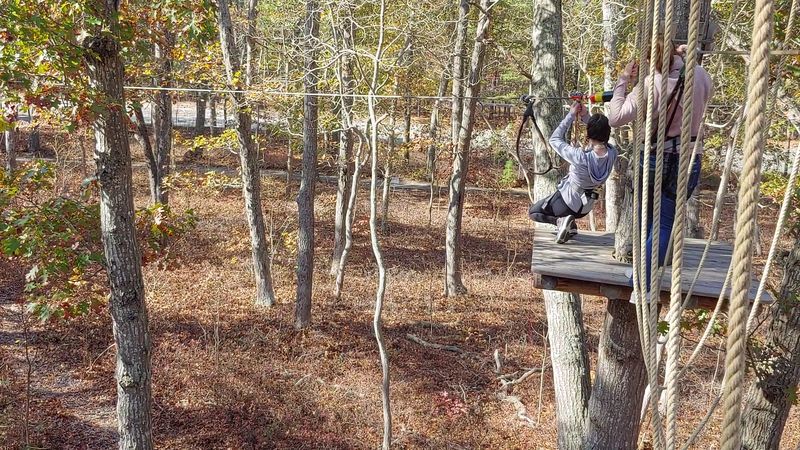 The Zip Lines That Steal the Show