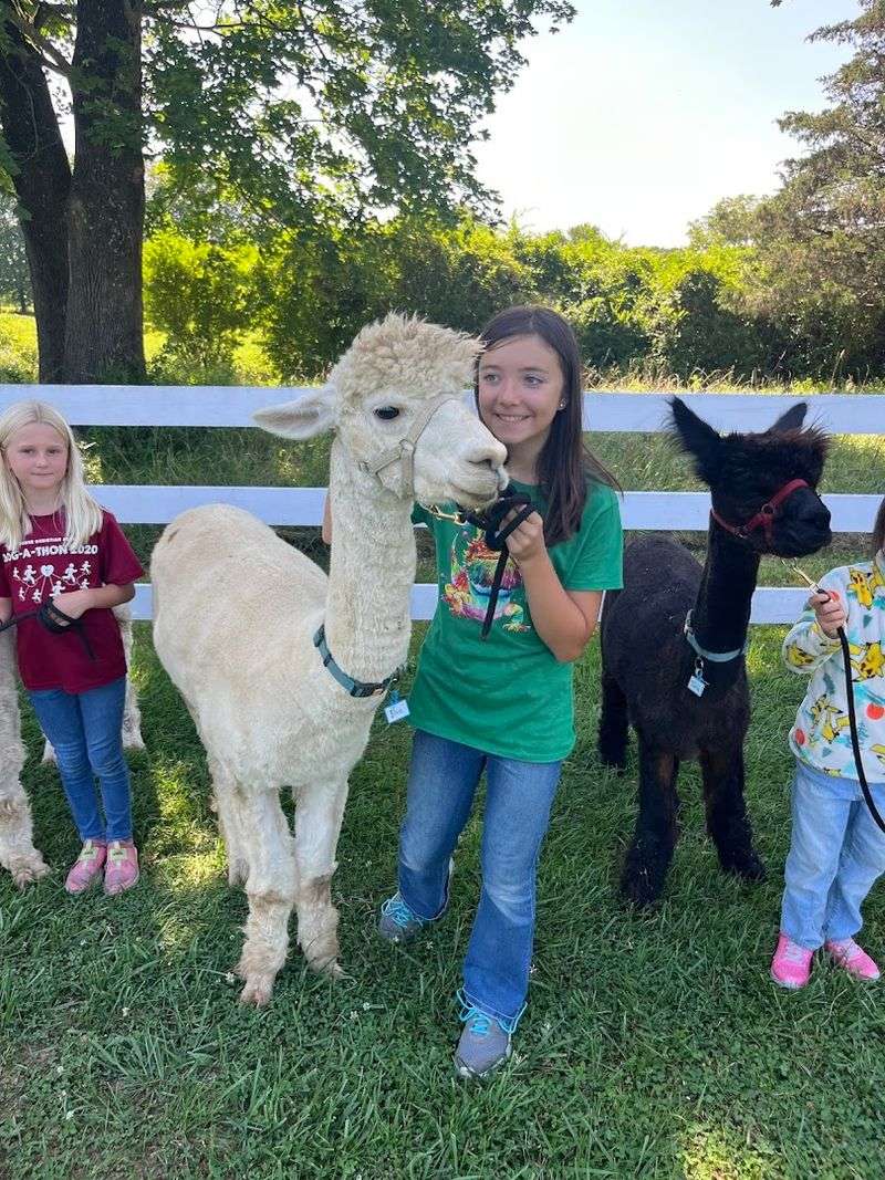 Why People Keep Coming Back Season After Season