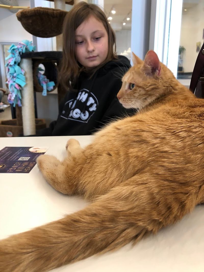 Bringing Kids Along for the Visit