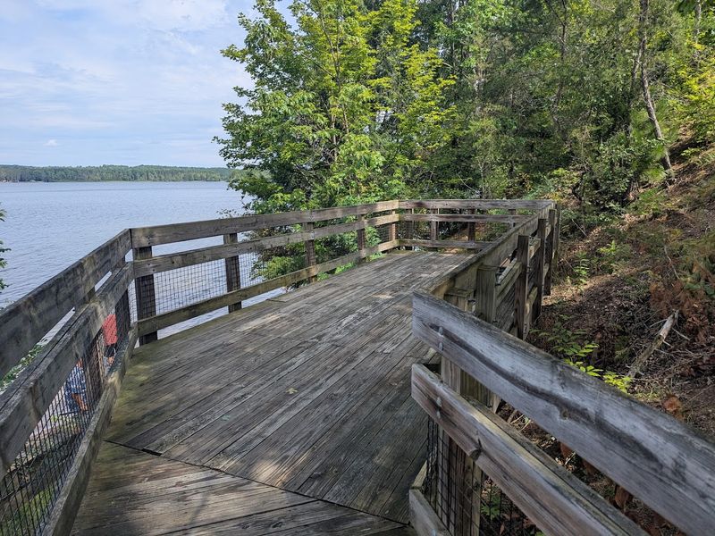 The Picnic Area That Turns a Quick Stop into a Real Break