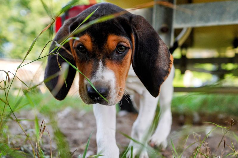 A Few Tips to Make Your Visit Go Smoothly