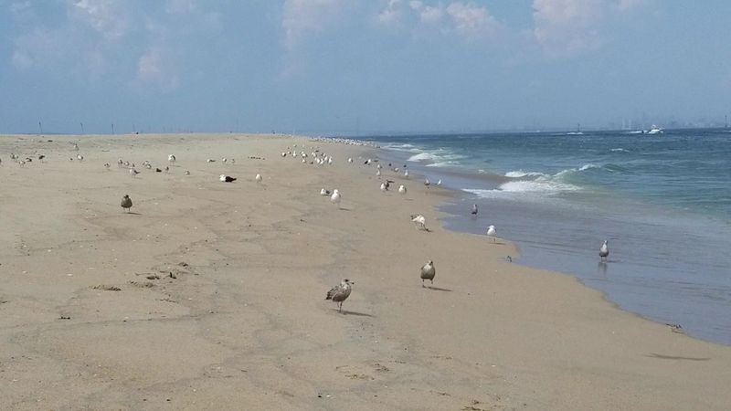 The Takeaway For Curious Visitors