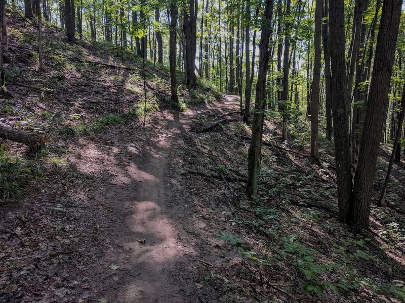 Hiking Feels Bigger Than The Map Suggests