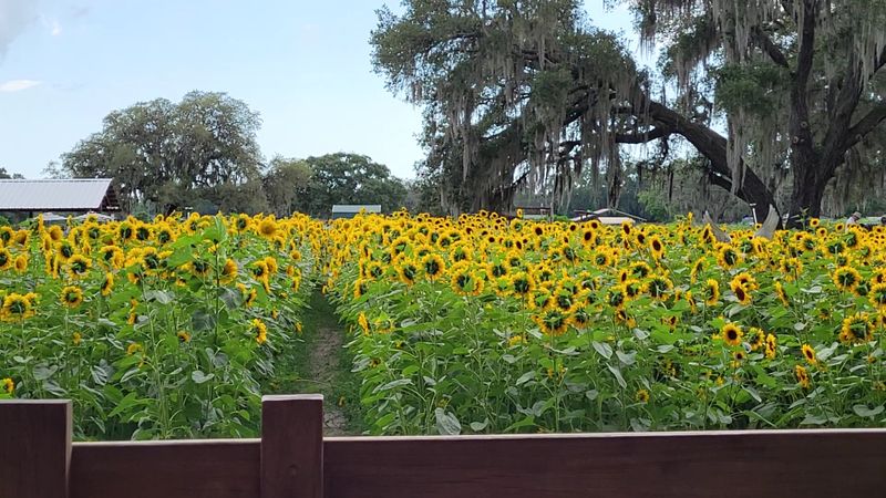A Closing Day at the Farm Worth Savoring