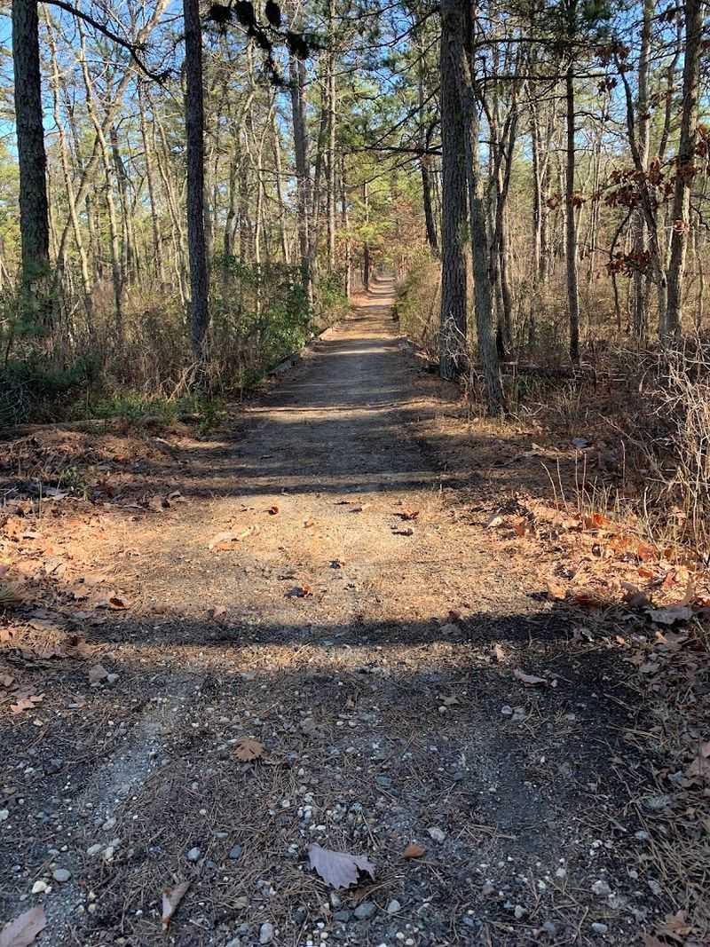 Planning Your Visit Without the Guesswork