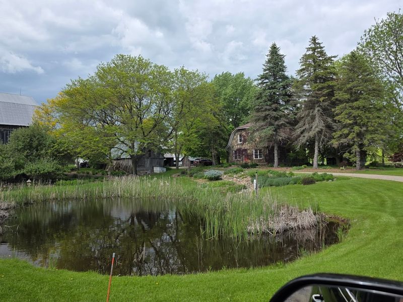 A Small Garden With a Lasting Impression