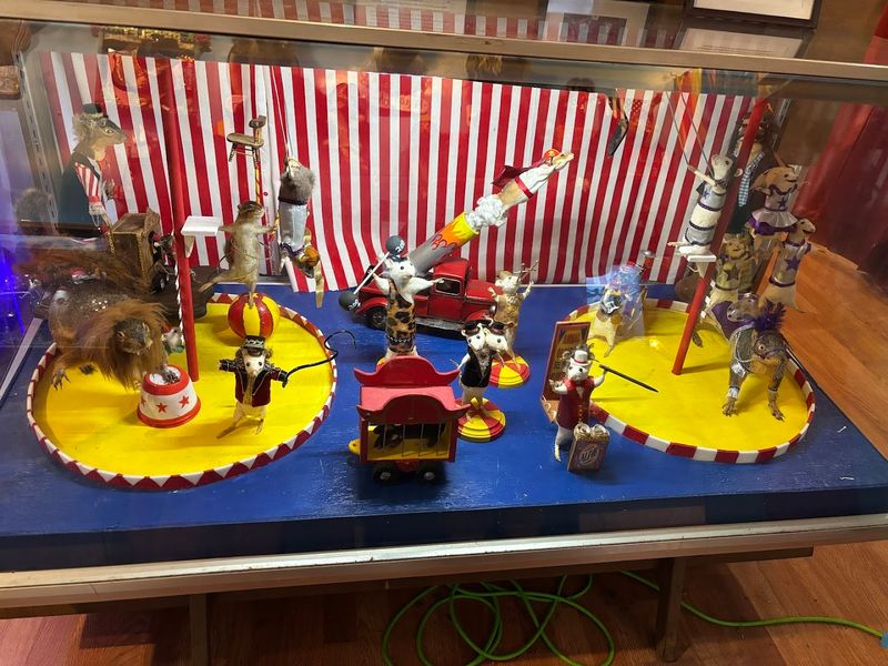 Tips for Getting the Most Out of Your Visit