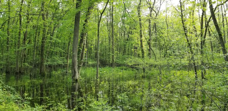 What To Know Before The First Visit