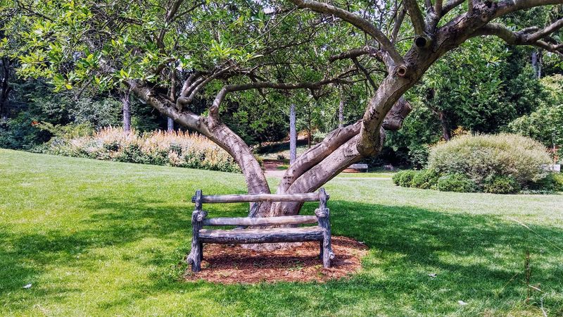 Picnics, Books, and the Art of Doing Very Little