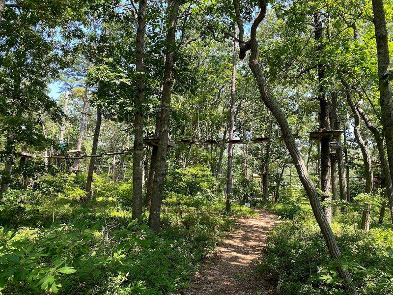 A Different Kind of Shore Day in South Jersey