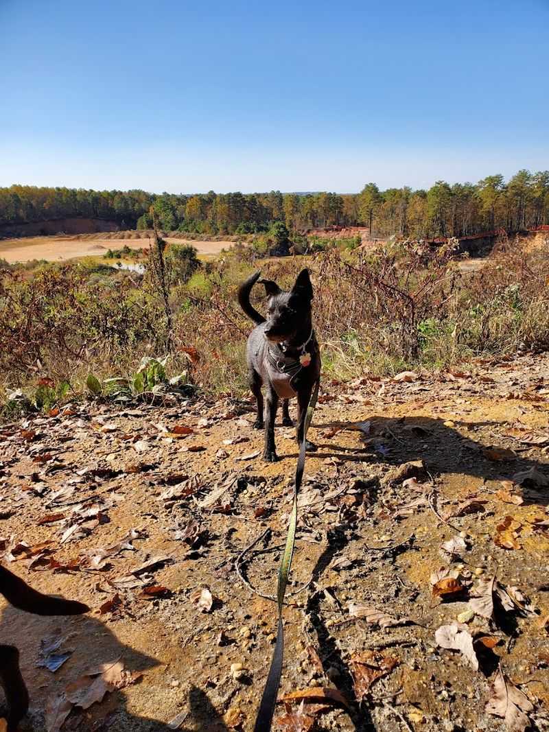 A Spot That Works for Dogs, Kids, and Solo Hikers Alike