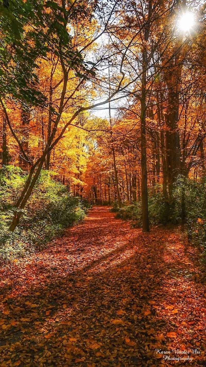 Seasonal Highlights And Best Times To Visit