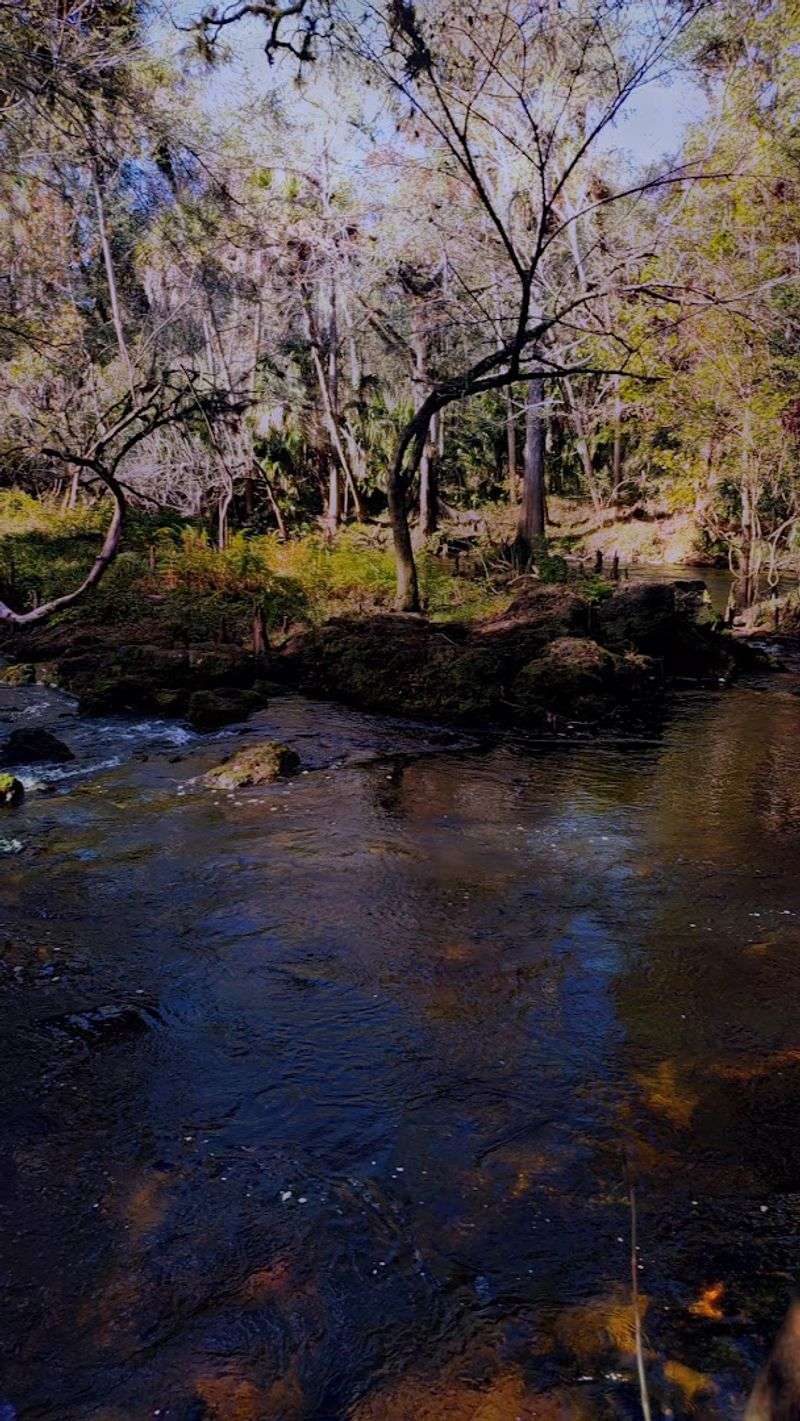 Camping Options From Basic Sites to Glamping Yurts