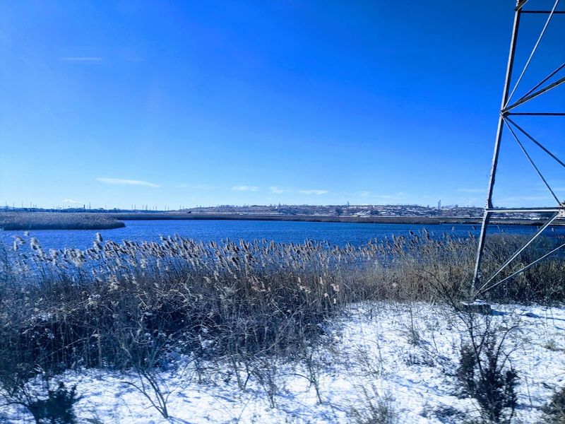 What the Seasons Do to This Place