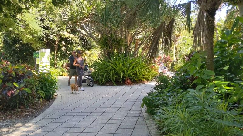 Guided Tours: The Fastest Way to Actually Learn Something