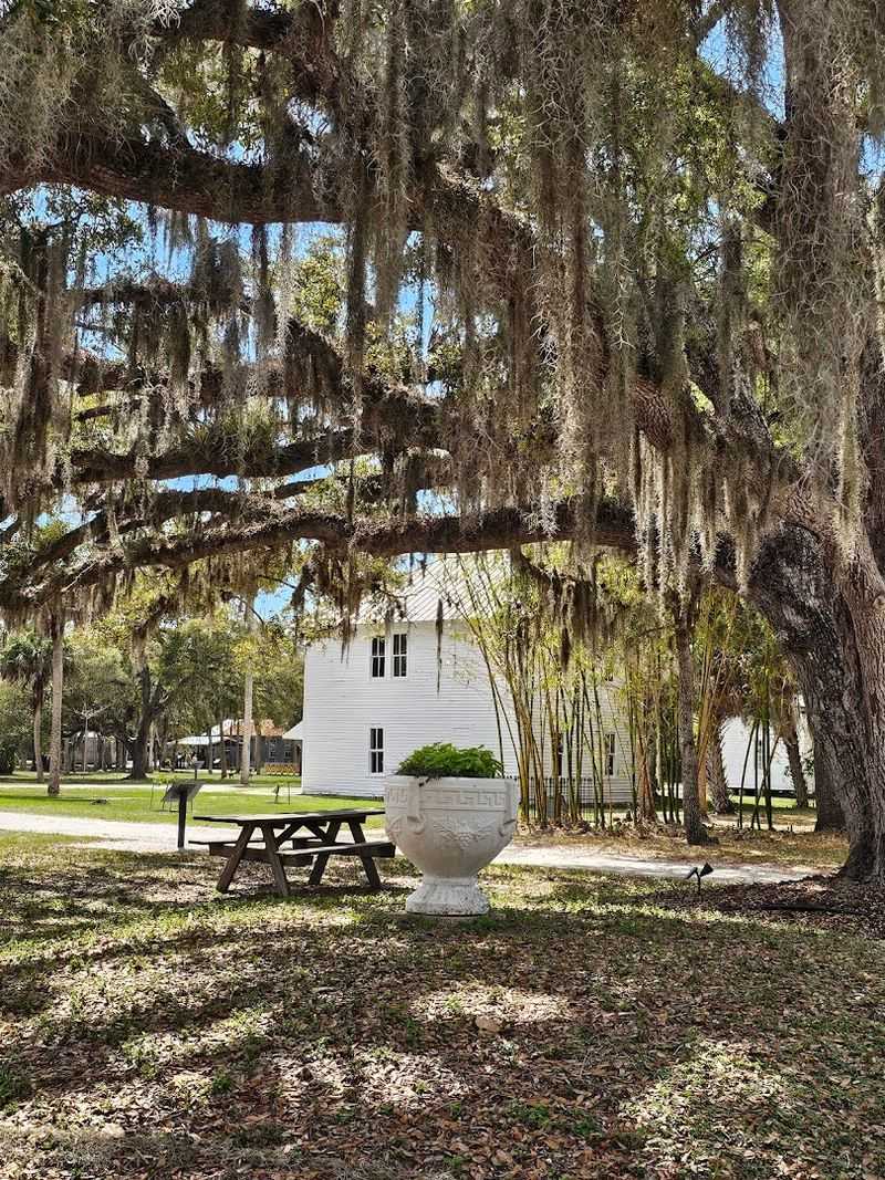 A Picnic Setting That Feels Like a Painting