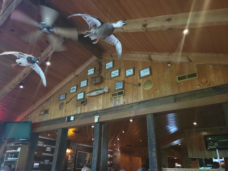 Service That Goes Above and Beyond