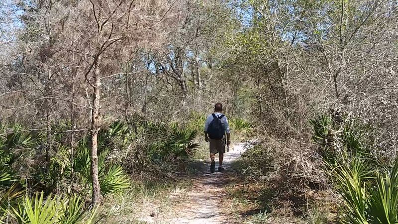 Morning Hikes and Why Early Arrival Pays Off