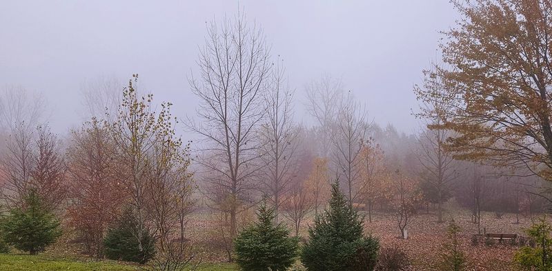 Seasonal Changes That Rewrite the Garden