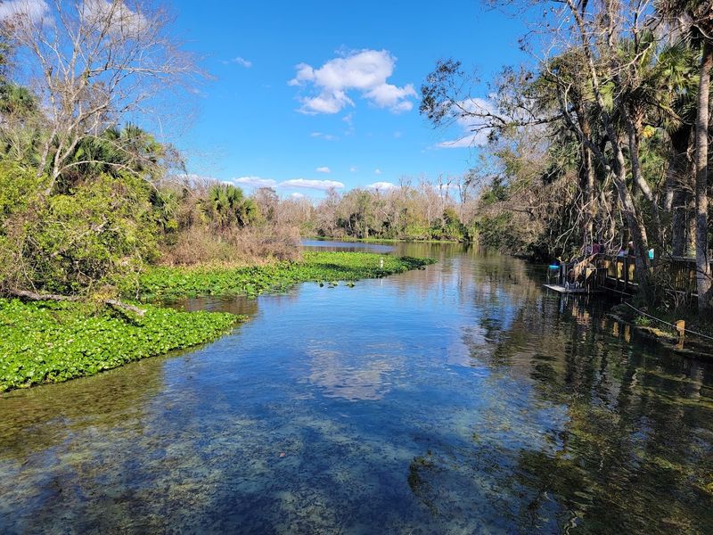Hiking Trails: More Than Just a Walk in the Woods