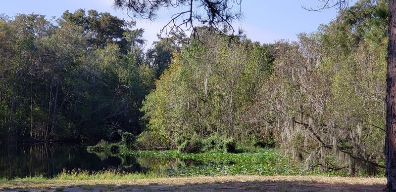 Delancy West Campground: A Perfect Pit Stop