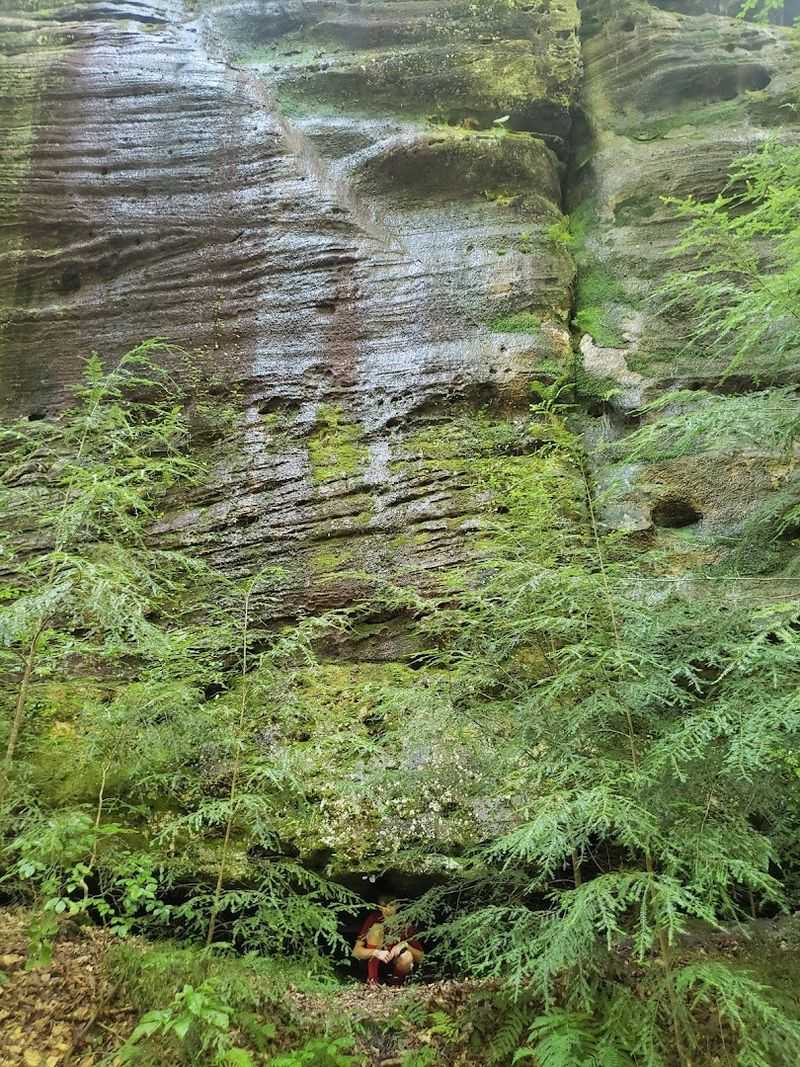 Camping Under the Canyon Stars